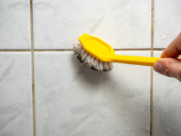 Best Mold Remediation  in Manhattan, NY